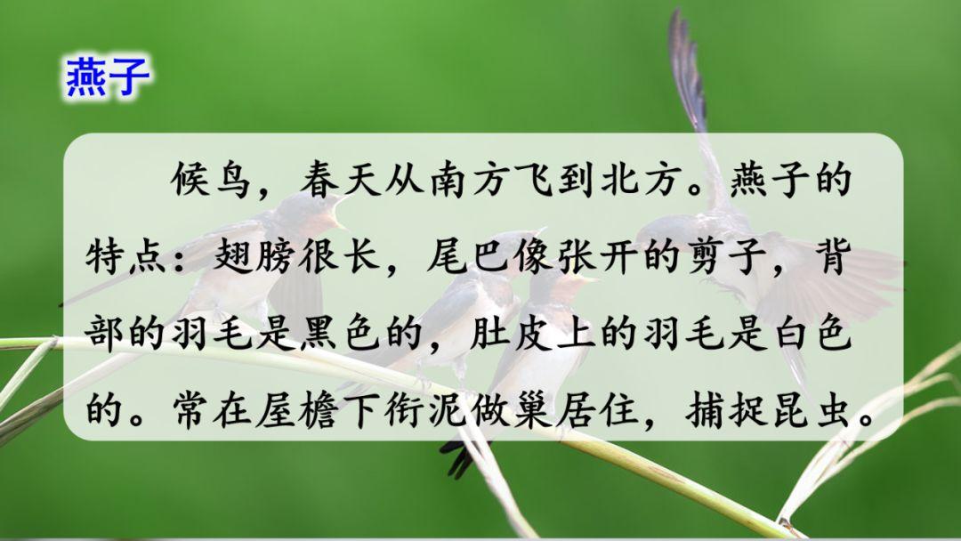 纤组词多音字和拼音_纤组词多音字组词语三个字_纤多音字组词