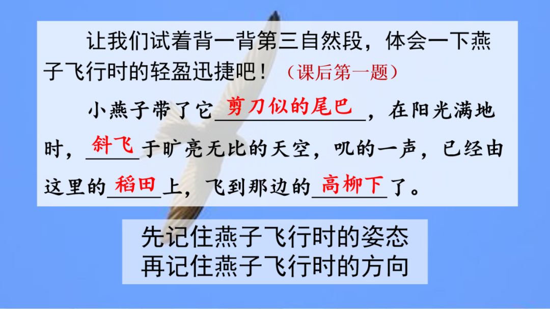 纤多音字组词_纤组词多音字组词语三个字_纤组词多音字和拼音