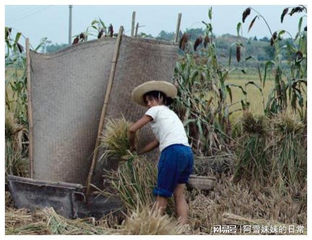 待字闺中什么意思_待字_待字怎么组词