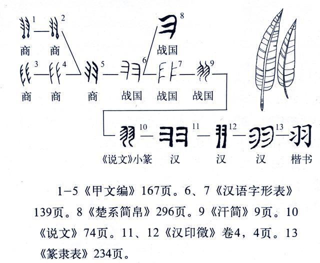 羽部首是什么偏旁_羽的部首_翠部首