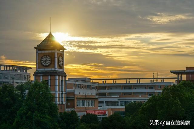 成都信息技术学校电话_成都信息技术学校_成都学校信息技术老师招聘