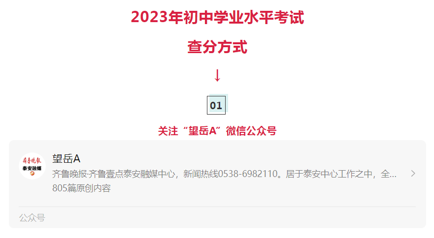 高中段招生考试平台_高中阶段招生考试网上服务大厅_高中招生考试服务平台