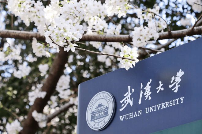 青海录取分数线大学排名_青海大学录取分数线_青海录取分数线大学生