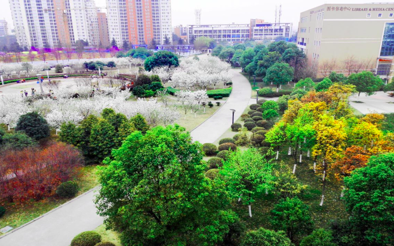 合肥高中排名前100名_合肥全部高中排名_合肥市高中学校排名