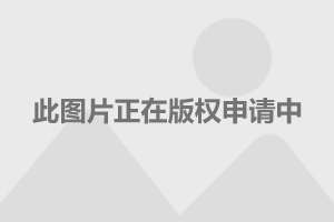 养老金测算计算器_养老测算器计算金额的公式_养老金自动测算器