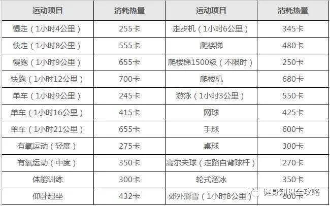 基础代谢率计算器_代谢率是啥_代谢率在线计算