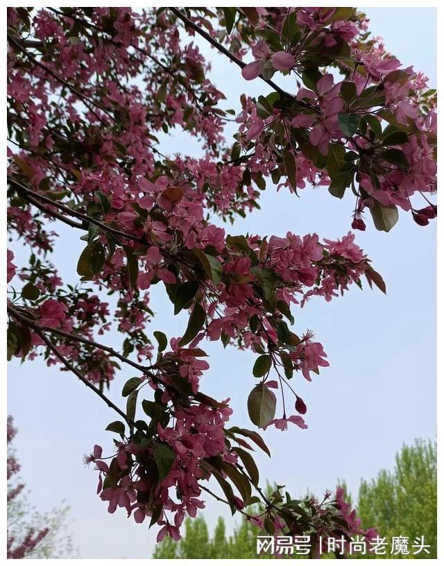 花甲年龄是多少岁算花甲呢_花甲之年_花甲年的赞美句子