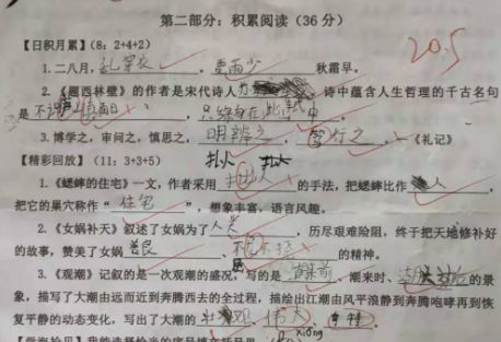 拼音字体下载免费_别字拼音_拼音字母表完整图片