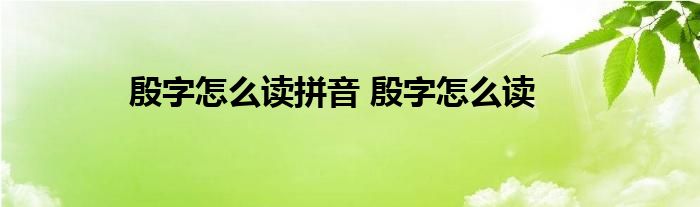 传拼音怎么打字_拼音传奇_传字拼音