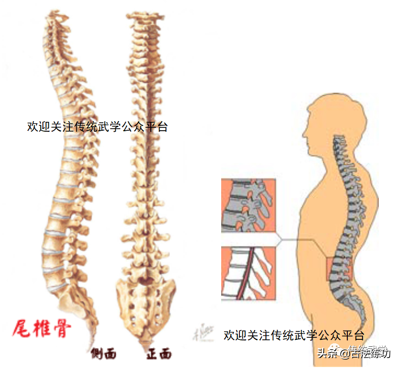 合字的结构和部首是什么_合字结构_合字到底是什么结构