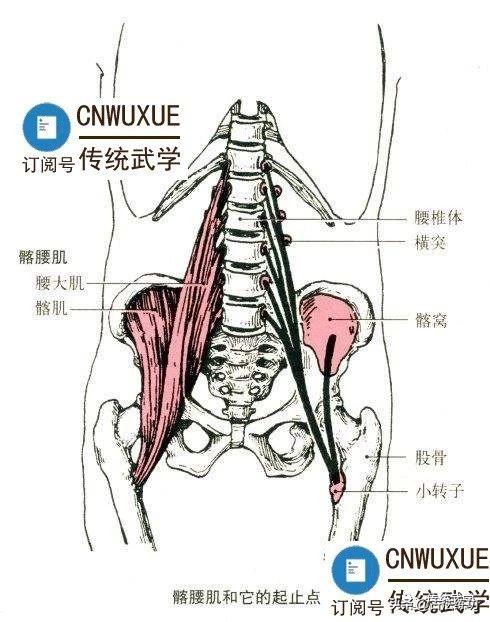 合字结构_合字的结构和部首是什么_合字到底是什么结构