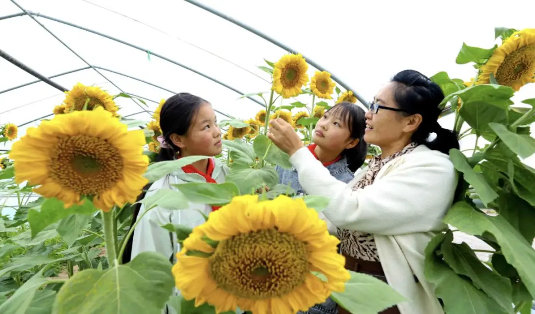 张掖智慧网_张掖市智慧教育云平台_张掖市智慧教育云平台注册登录