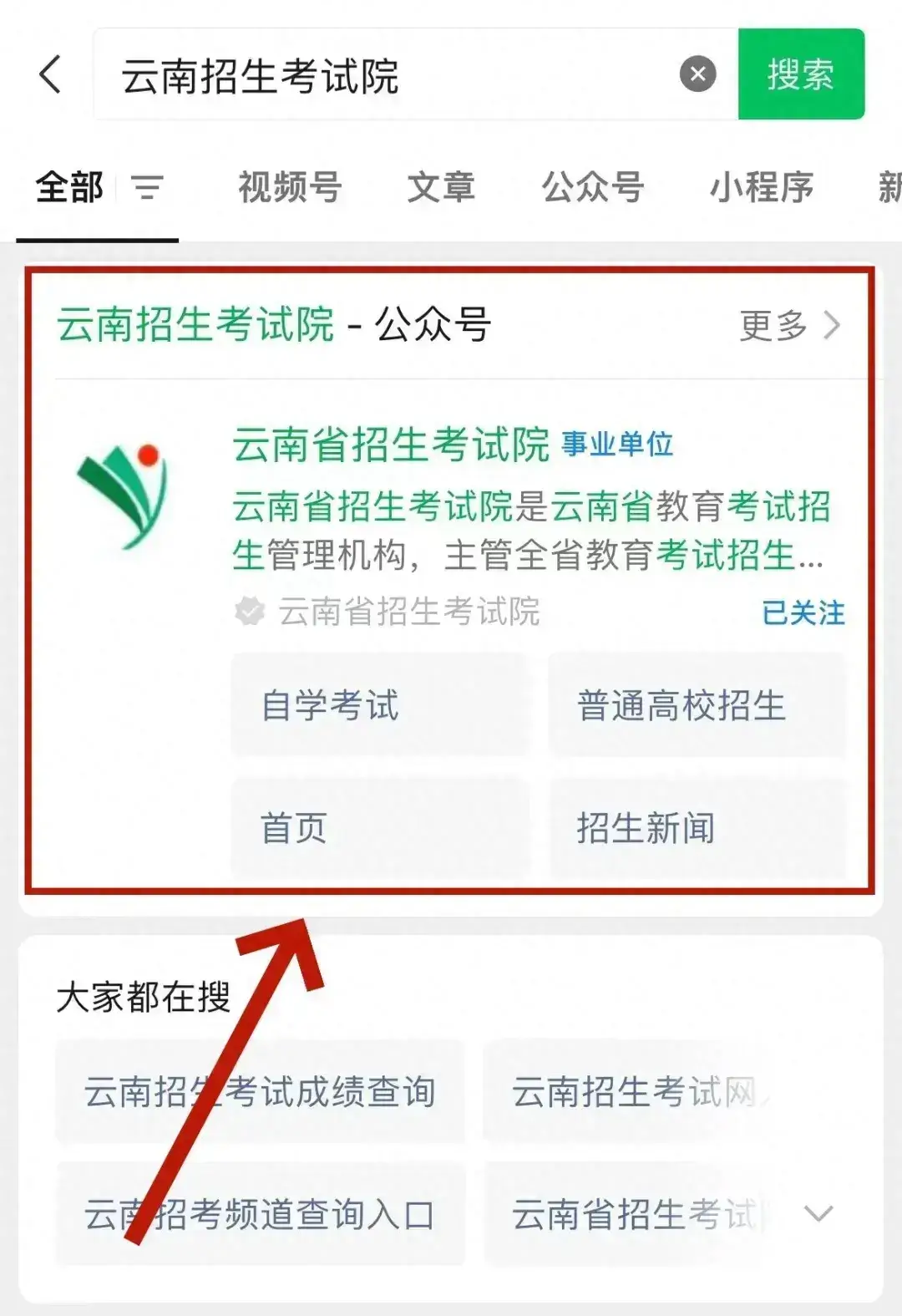 招生官网云南登录考试网站_云南招生考试网登录入口_云南招生考试网官网登录