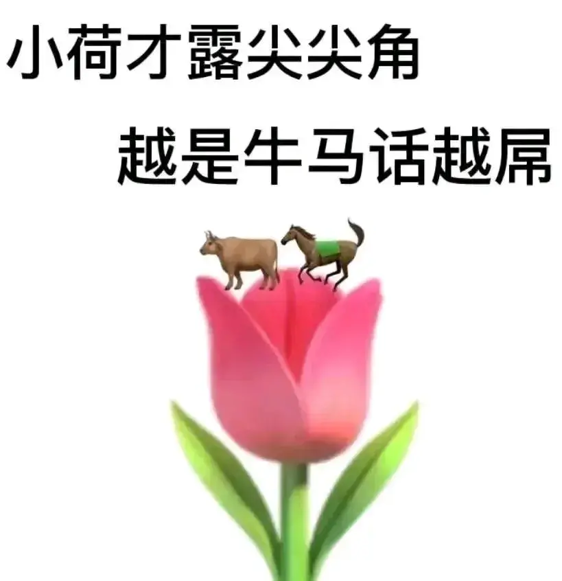 用吗_用组词_用吗