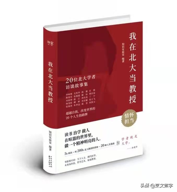 北大教授李玲_北大教授工资多少一月多少_我在北大当教授