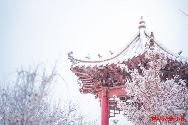 划片张店区实验中学的房子_张店区实验中学的小区_张店区实验中学