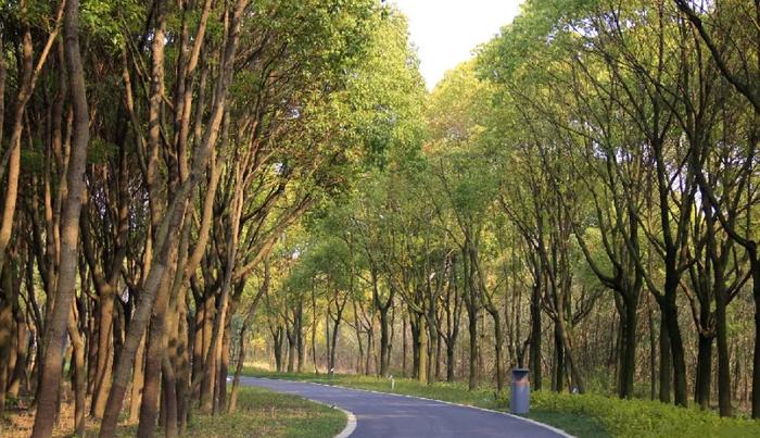 昆山震川高中升学率_昆山高级中学震川校区地址_昆山震川高级中学