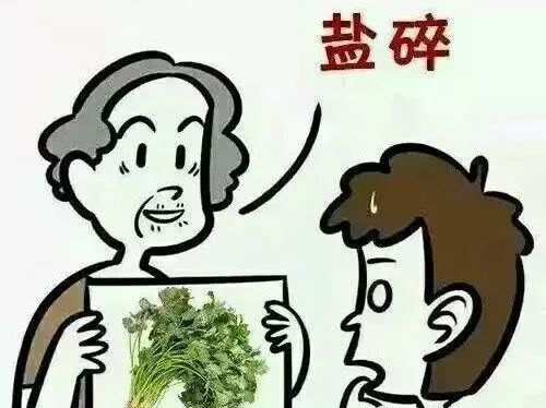 透是什么意思_透透意思_透是什么意思解释