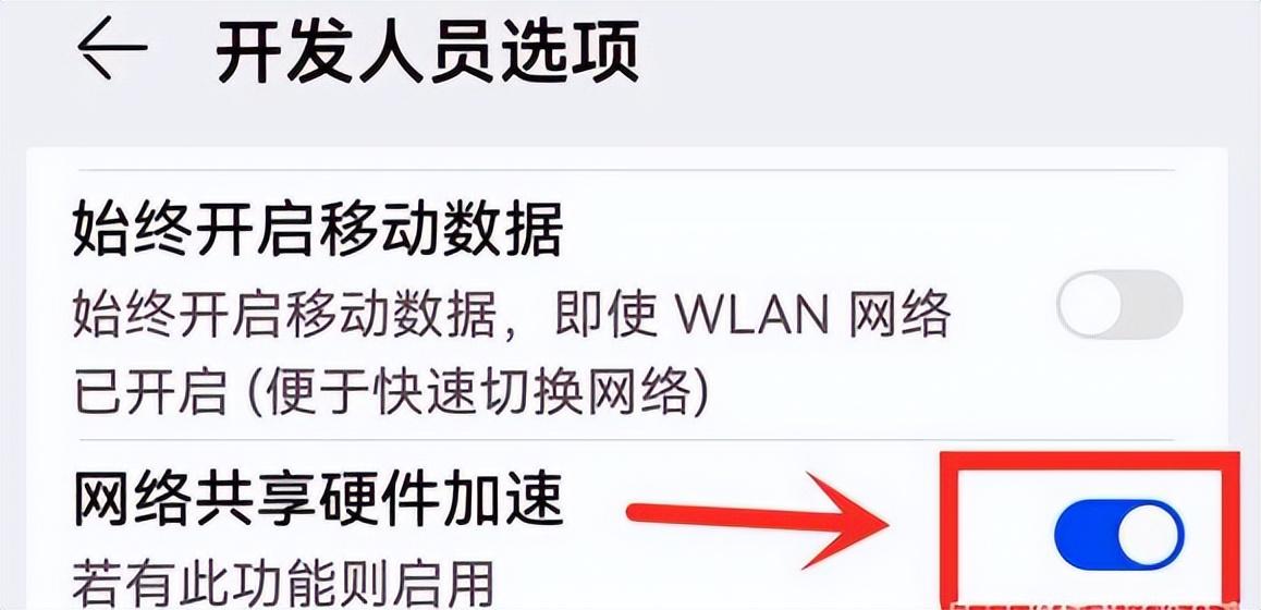 手机连上wifi但不能上网怎么办_手机可以上网了_手机可以上网wifi不能上网