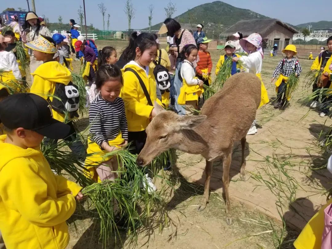 蚌埠教育网官方_蚌埠教育_蚌埠教育网