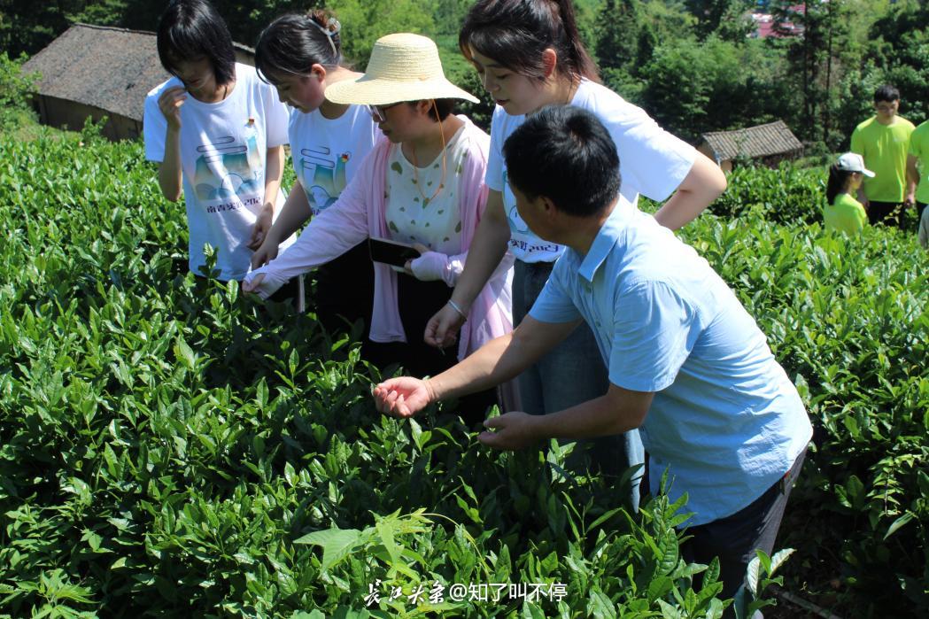 财经类山东大学排名_山东财经大学是211还是985_山财在山东大学里的排名