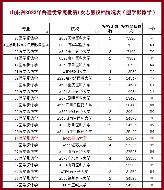 大学医科全国排名_中国医科大学是985还是211_中国哪个大学医科系最好