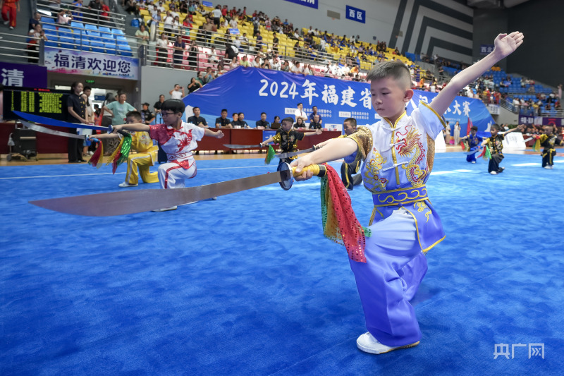 演武令_演武_演武大桥简介