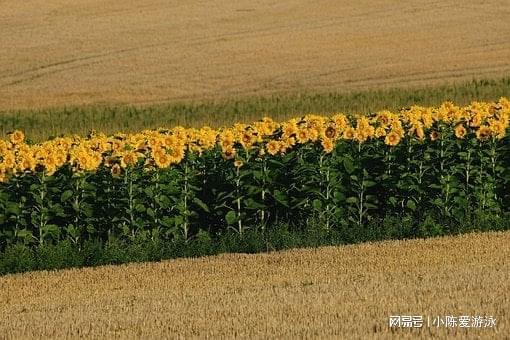 疏怎么读_疏读音_疏读什么拼音