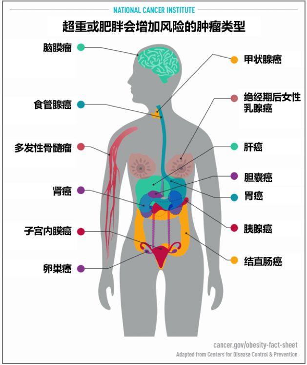 body_makebody_body是什么意思