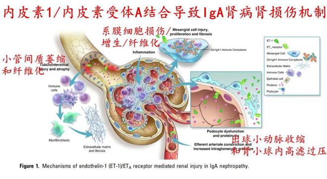 use怎么读_useby什么意思中文_use