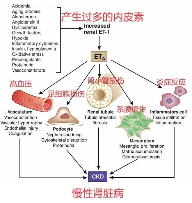 useby什么意思中文_use怎么读_use