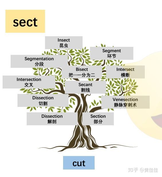 creature是什么意思_意思是说_意思是的英文