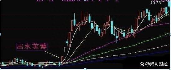 顶点英文_顶点英文缩写_顶点英文怎么说