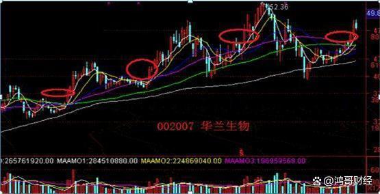 顶点英文_顶点英文缩写_顶点英文怎么说