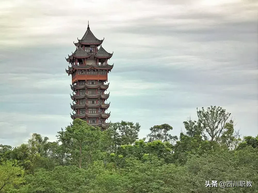 成都市礼仪职业中学_成都礼仪职业中学东区环境_都市中学职业礼仪成绩查询