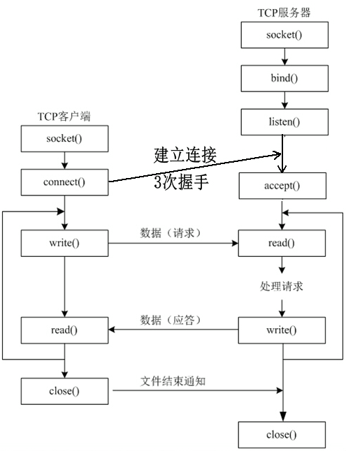 accept函数_函数accept的作用_函数accrint