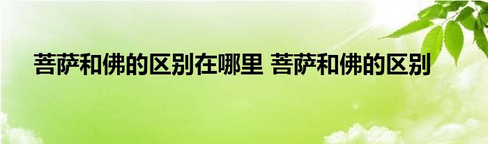 佛报身是什么意思_佛报身涅槃吗_报身佛