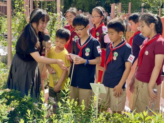 向明初级中学教师名单_向明初级中学徐洁_向明初级中学