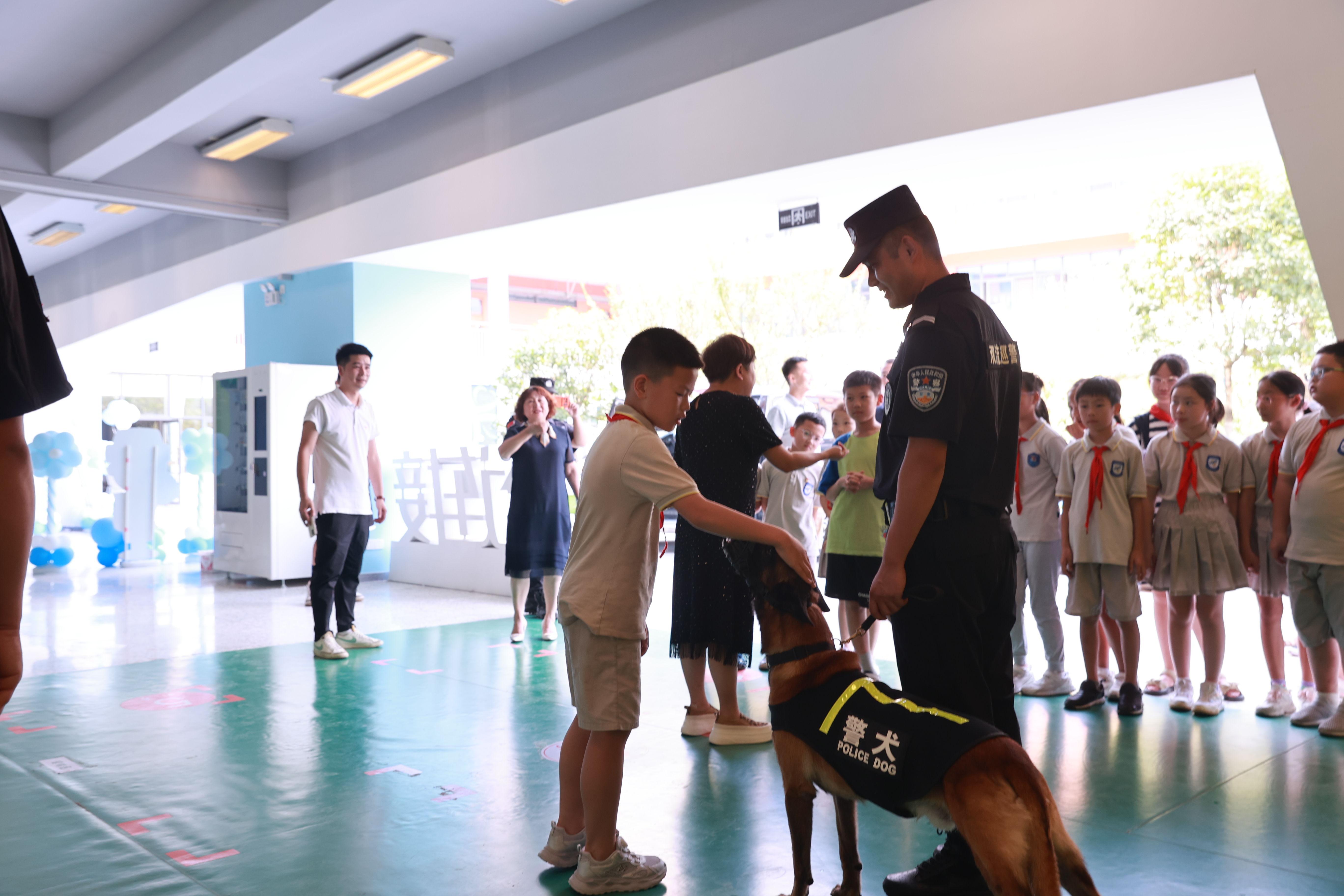 实验中学双流学校招生简章_双流中学实验中学怎样_双流中学实验学校