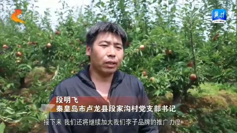 李子的子是不是轻声_李子的子是什么意思_李子的子是几声