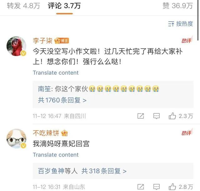 李子的子是什么意思_李子的子是不是轻声_李子的子是几声