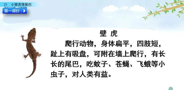 户偏旁组加字新字再组词_户偏旁组加字新字有哪些_户加偏旁组新字