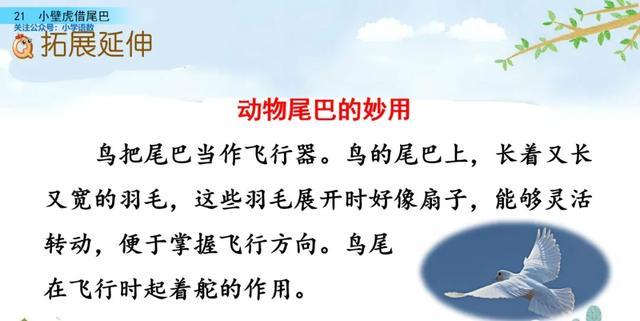 户偏旁组加字新字再组词_户加偏旁组新字_户偏旁组加字新字有哪些