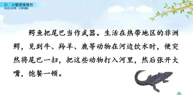 户偏旁组加字新字再组词_户偏旁组加字新字有哪些_户加偏旁组新字