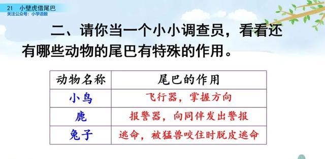 户偏旁组加字新字有哪些_户加偏旁组新字_户偏旁组加字新字再组词