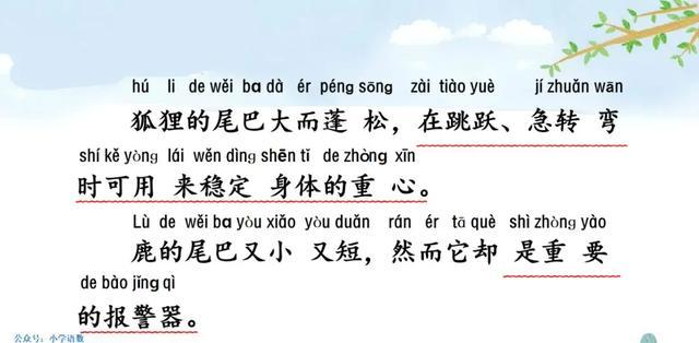 户偏旁组加字新字再组词_户偏旁组加字新字有哪些_户加偏旁组新字