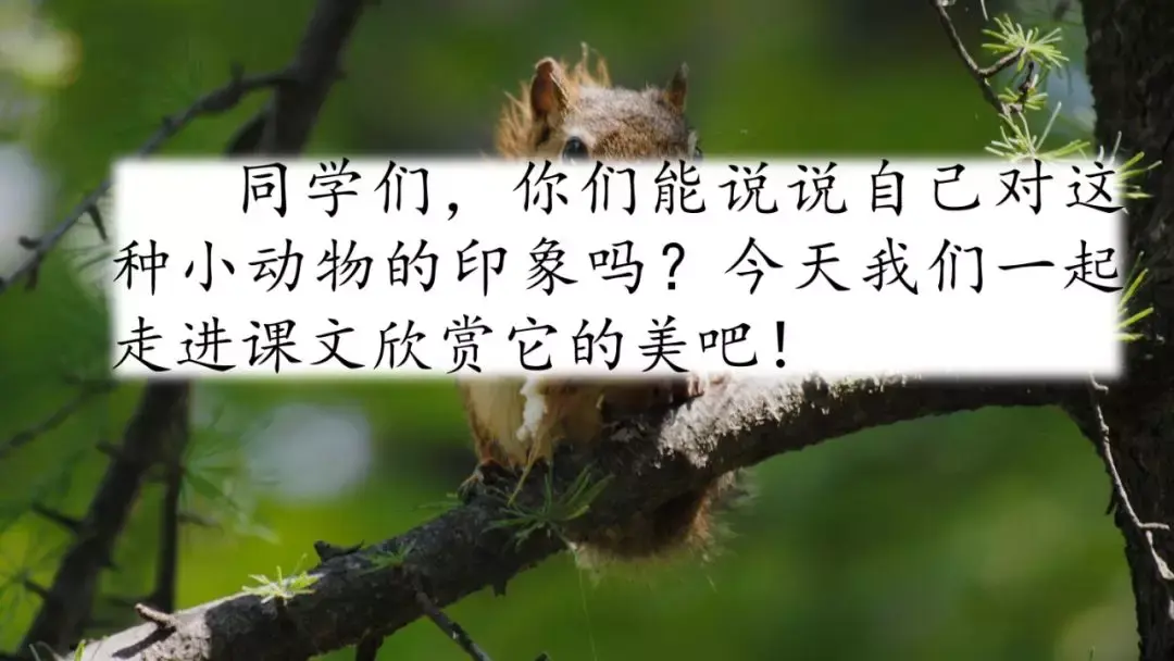 什么手组词_组词手上可以吗_组词手抄报