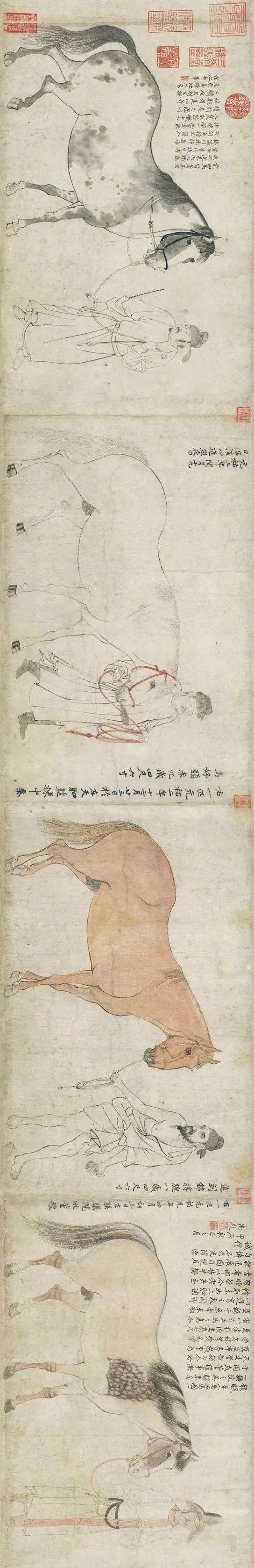 曹笔顺_酸的笔顺算的笔顺_曾笔顺笔画顺序曾笔顺笔画顺序