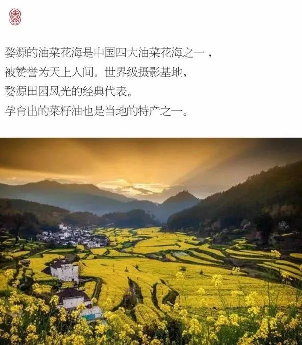 月元念什么_月元念什么_月元念什么