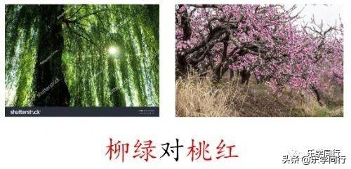 能笔顺正确的写法_熊笔顺_能的笔顺